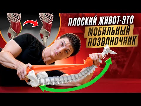 Видео: Почему НЕ НУЖНО КАЧАТЬ ПРЕСС, если ВЫПИРАЕТ ЖИВОТ ? Урок: ПЛОСКИЙ ЖИВОТ - включение ГЛУБОКИХ МЫШЦ