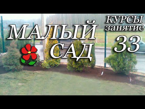 Видео: Малый сад. Особенности создания сада на небольшом участке. Курсы. Урок 33.