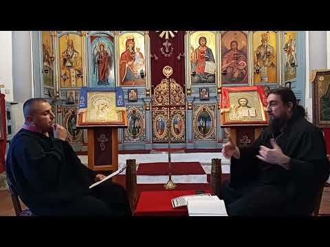 Видео: Беседа за предсмъртните видения при клинична смърт и за митарствата