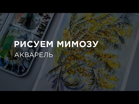 Видео: Как нарисовать МИМОЗУ: букет цветов, рисунок, акварель, поэтапно