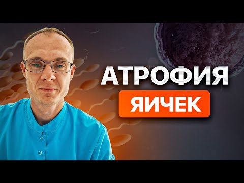 Видео: Атрофия яичек. Проблемы с зачатием. Врач уролог-андролог. Москва.