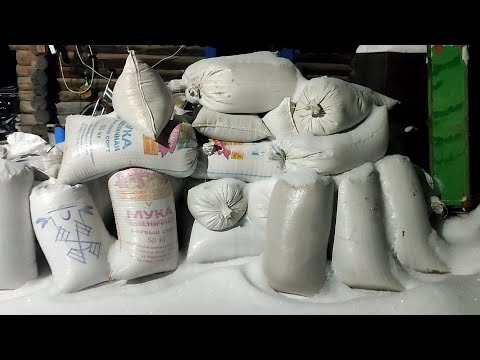 Видео: Купили зерно, дробилка Фермер ИЗЭ-14. #жизньвдеревне #лпх #деревенскаяжизнь