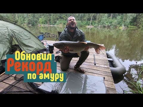 Видео: Рыбалка в кайф. Ловим карпа и амура на Львовских прудах.