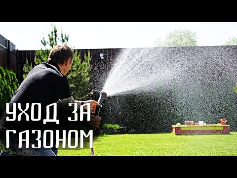 Видео: Супер газон начинается с весны! Уход за рулонным газоном