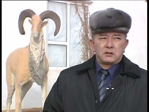 Видео: Маңғыстау облысы, "  Үстірт" мемлекеттік қорығы
