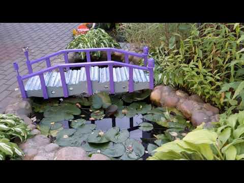 Видео: Примеры записи видео на Pixel 4a  в различных условиях съемки