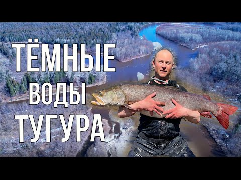 Видео: Тёмные воды Тугура (таймень, рыбалка)