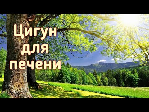 Видео: Активизируем печень и желчный пузырь, отпускаем напряжение. Вэйгун, Шаги Стихии Дерева.