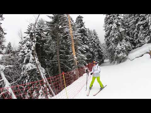 Видео: GH013349 Боровец Ситняково - път - Мартинови Бараки 09.02.2022