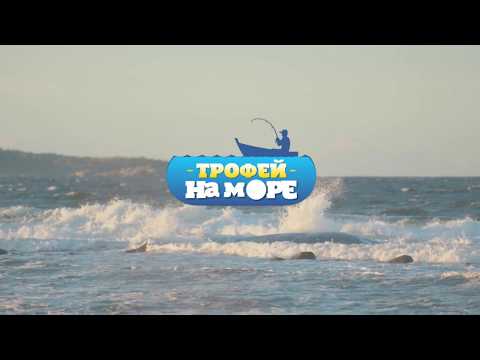 Видео: Ловля ставриды на искусственные приманки. Трофей на море. 23 серия.