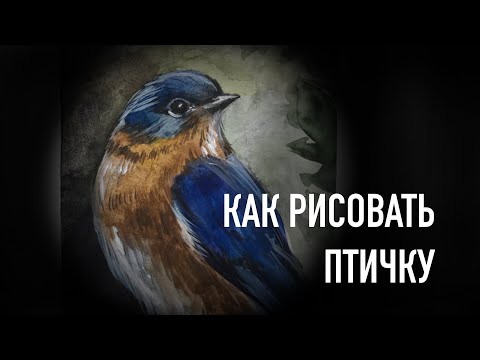 Видео: Как нарисовать птичку. Пошаговая инструкция как рисовать птицу.