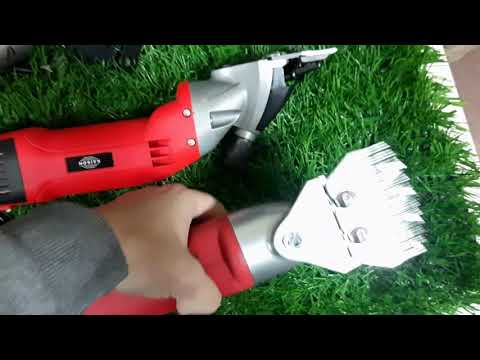 Видео: Отличие машинки для стрижки овец Kaison 500 от аналогов