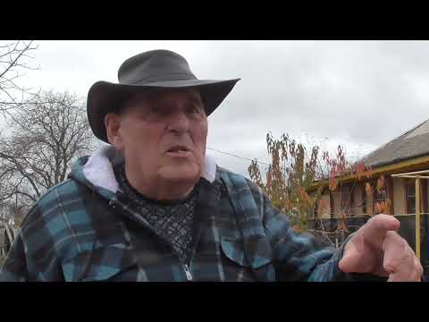 Видео: Щоденник В П О.  Фільм 8.  Про безцінне братерство бджолярів