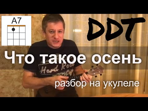 Видео: Антон Мизонов - разбор укулеле кавера на ДДТ - Что такое осень