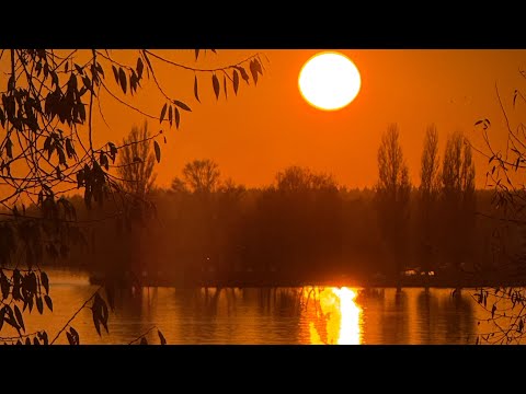 Видео: Карта побиту Варшава