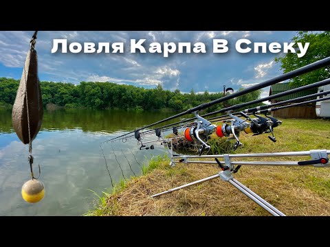 Видео: ЛОВЛЯ КАРПА В СПЕКУ / Безвідмовні НАСАДКИ на будь-якій водоймі. Чорний Хутір. Частина 2