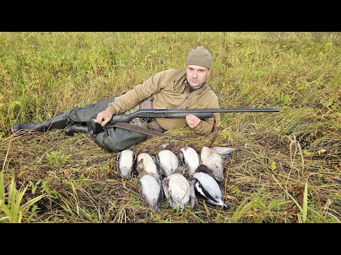 Видео: ЭТО БЫЛО ЧТО ТО, ОГРОМНЫЕ СТАИ СЕВЕРНОЙ УТКИ У БЕРЕГА И Я ТУТ. НАСТРЕЛЯЛ РЮКЗАК ПТИЦЫ С ПОДХОДА.
