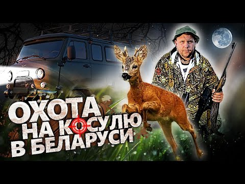 Видео: Охота на Косулю в Беларуси