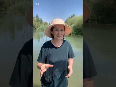 Видео: Аах лето прошло🙋‍♀️💞👨‍👩‍👦🌲🎥#света #тараз #отдыхнаприроде