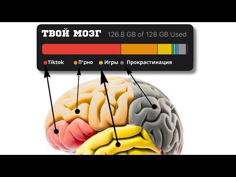 Видео: ТЫ ТУПЕЕШЬ и даже не осознаешь этого 