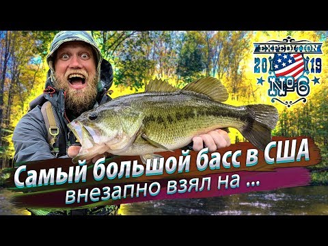 Видео: 🇺🇸 САМЫЙ БОЛЬШОЙ БАСС в Америке. Рыбалка на лесном пруду. Большеротый окунь, трофей. 2019/10