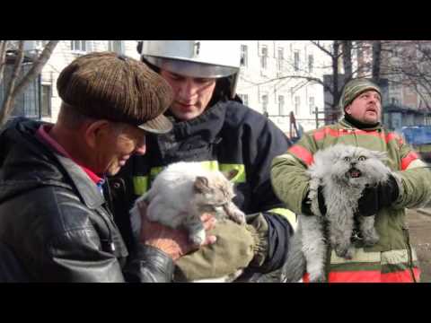 Видео: Доброта  Д Дунаев