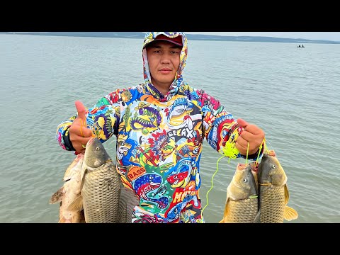 Видео: Рыбалка на КАРПА.. Жукей.. #карп #карповаяловля #сазан #карпаркинг #озеро #рыбалка #рыба #рыбак