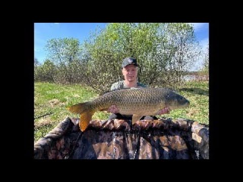 Видео: Рыбалка на лесном озере