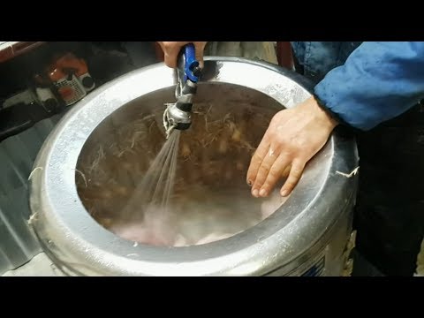 Видео: Перосъемная машина Китай NT 600 A в работе  3 Часть