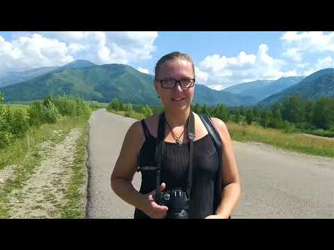 Видео: Прогулка по лесу.    A walk in the woods.