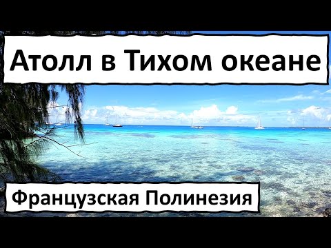 Видео: Факарава - атолл в Тихом океане.Жемчужные фермы и отличный дайвинг.Французская Полинезия.