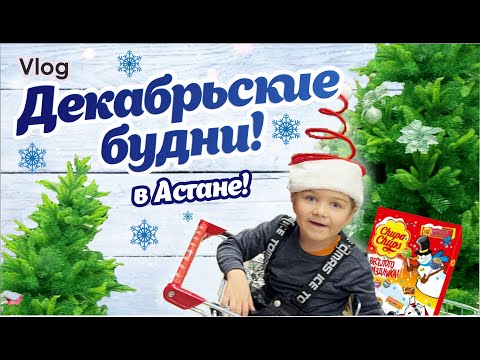 Видео: Влог | Не серые будни | Первый снег | Новое хобби