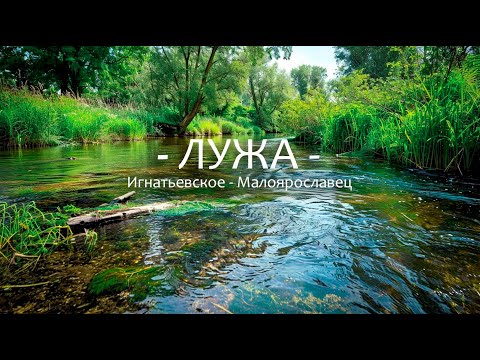 Видео: По Каякам на реке Лужа. Сложный ОБНОС завала и МОРЕ крапивы. Обкатка Wilderness Tsunami. Сплав 2024