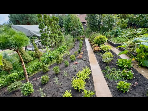 Видео: ВОЗВРАЩАЕМ БЫЛУЮ КРАСОТУ УЧАСТКУ! И ДАЖЕ ПОТЕРЯШКА НАШЛАСЬ! 👍🏻🌳