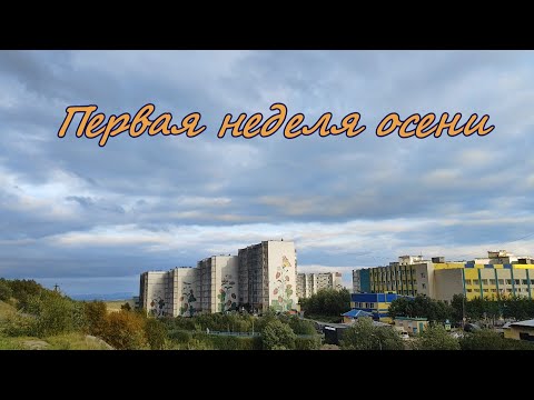Видео: Первая неделя осени