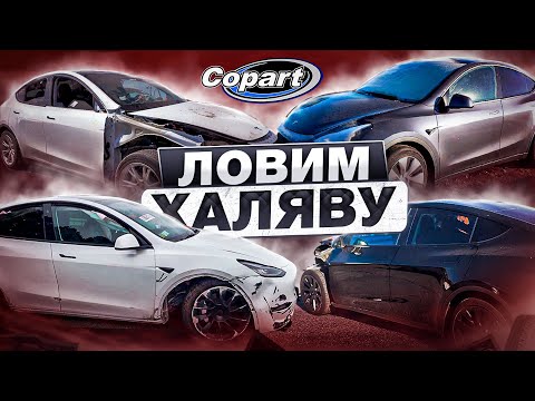 Видео: ЛОВИМ ХАЛЯВУ! Tesla Model Y (2 Выпуск)