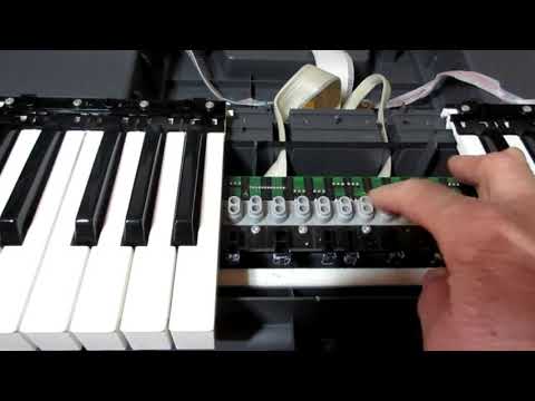 Видео: Исправил громкую клавишу на моём цифровом пианино Yamaha DGX-520. В восторге!