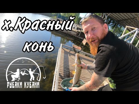 Видео: РЫБАЛКА КАЛИНИНСКИЙ РАЙОН Х.КРАСНЫЙ КОНЬ