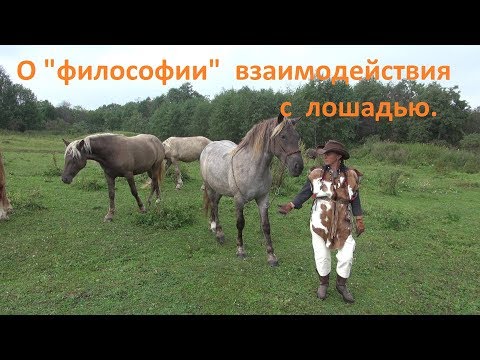 Видео: О "философии" взаимодействия с лошадью.