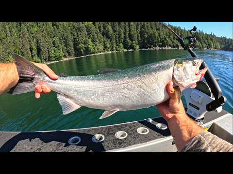 Видео: Эти рыбы просто СУМАСШЕДШИЕ!! Ловля гигантского аляскинского лосося троллингом (поймай и приготовь)