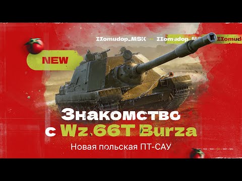 Видео: Wz.66T Burza — ПОЛЬСКАЯ ПТ-САУ VIII уровня | ЧЕСТНЫЙ ОБЗОР НОВОГО ПРЕМИУМ ТАНКА