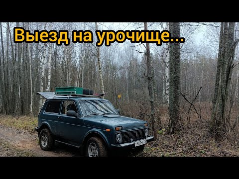 Видео: Выезд на урочище..