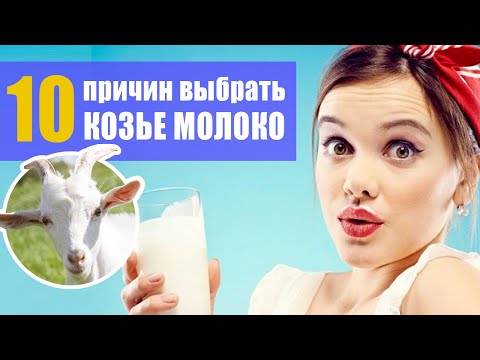 Видео: 10 причин выбрать козье молоко вместо коровьего