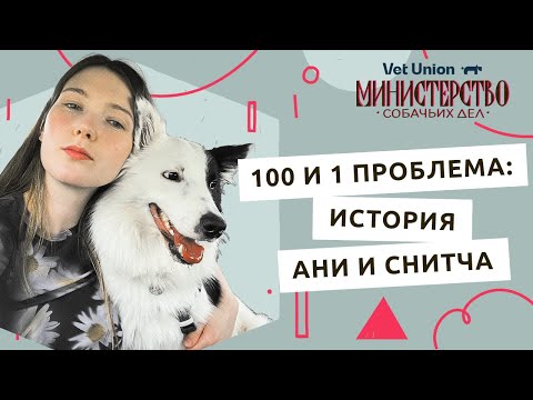 Видео: Что делать, если вам досталась очень сложная собака? Рассказываем на личном опыте