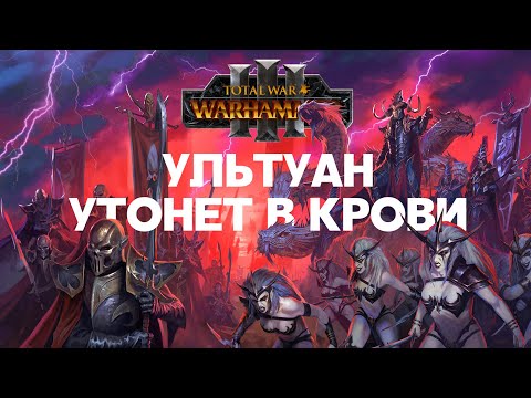 Видео: Тёмные Эльфы. Лорды Total War Warhammer 3