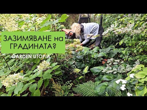 Видео: ЕСЕННА поддръжка на декоративните градини: #Ден 33 от 90 ДНИ НА СЕЛО