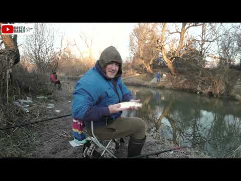 Видео: р.Камчия - риболов на кефал с болонеза / River fishing for chub