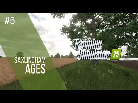 Видео: FS 25 - ПРИБЫЛЬНЫЙ ГОД? #5