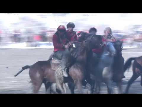 Видео: Салам Алик & Заргер/ Өзгөн районунун кокбору боюнча чемпионаты!!!