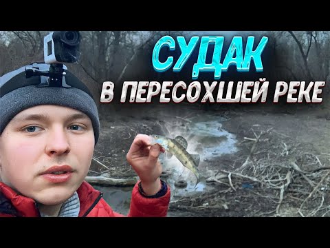 Видео: СПАСЕНИЕ РЫБЫ В ЗАПОРОЖЬЕ 29.01.23. РЕКА ДНЕПР ВЫСЫХАЕТ.